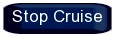 Stop Cruise Button In The PTZ Preset Screen On A Zip DVR Or NVR